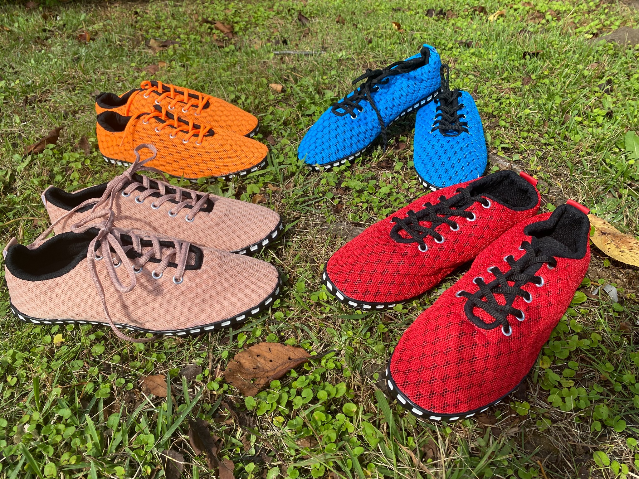 TAYGRA カラーバリエーション